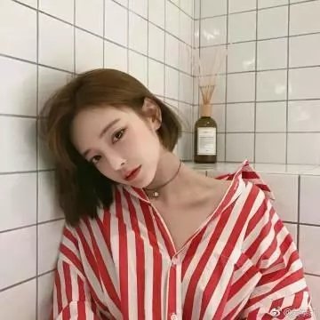 鹦鹉老妈